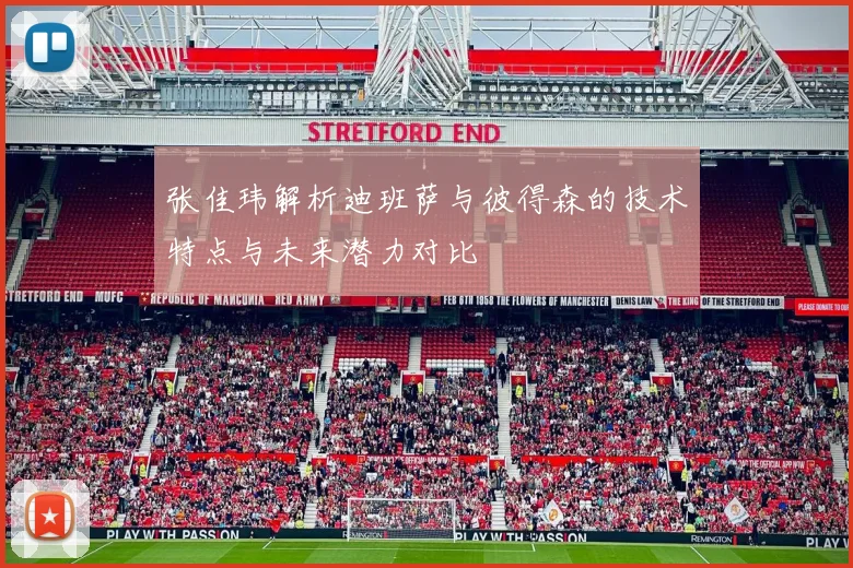 张佳玮解析迪班萨与彼得森的技术特点与未来潜力对比