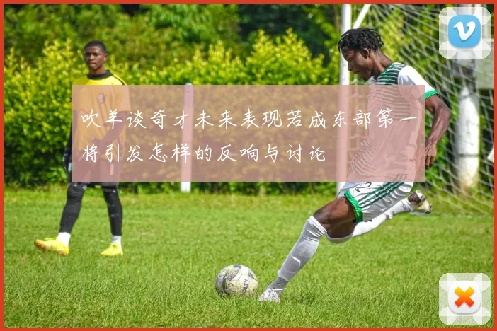 吹羊谈奇才未来表现若成东部第一将引发怎样的反响与讨论